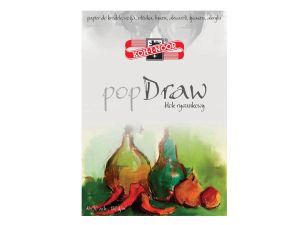 BLOK RYSUNKOWY POP DRAW A4 30 ARKUSZY 180G 9920/5