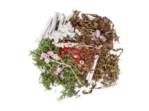 NATURALNE ELEMENTY MIX 30G PASTEL DALPRINT