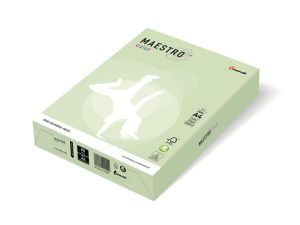 PAPIER PASTEL MAESTRO COLOR 160G A4 J.ZIELEŃ GN27