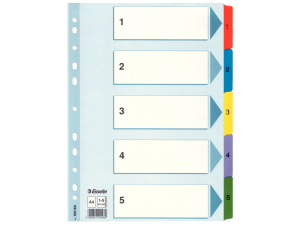 PRZEKŁADKA ESSELTE A4/5 MYLAR BIAŁA