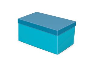 PUDEŁKO NA PREZENT B-C003-H MFP