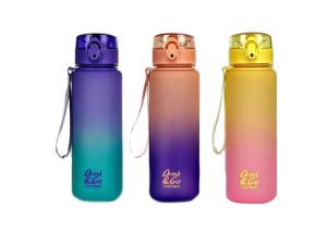 BIDON BRISK GRADIENT 600ML MIX KOL. 04163CP