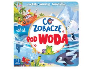 CO ZOBACZĘ POD WODĄ