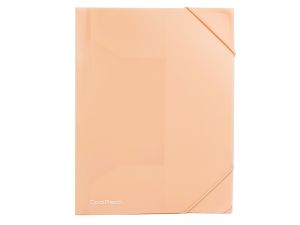 COOLPACK PASTEL TECZKA NA GUMKĘ A4 POWDER PEACH