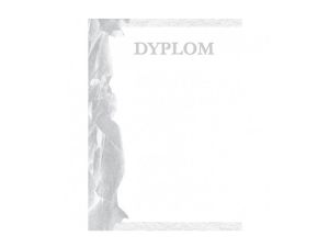 DYPLOMY SPORTOWE SREBRO 602587
