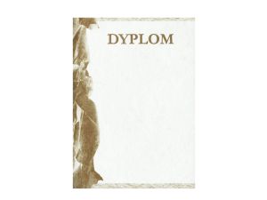 DYPLOMY SPORTOWE ZŁOTE 