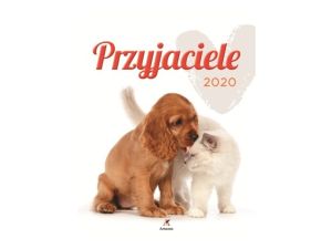 KALENDARZ 7-PLANSZOWY PRZYJACIELE ARTSEZON