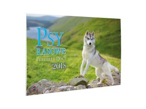 KALENDARZ ALBUMOWY KA2 PSY AVANTI
