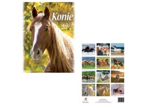 KALENDARZ B4 KONIE ARTSEZON