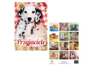 KALENDARZ B4 PRZYJACIELE KOLOR ARTSEZON