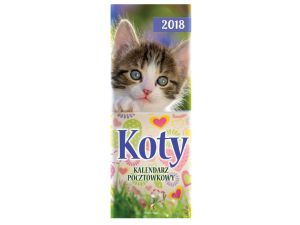 KALENDARZ POCZTÓWKOWY KOTY ARTSEZON