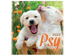 KALENDARZ WIELOPLANSZOWY PSY ARTSEZON