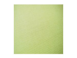 KARTON OZDOBNY HOLLAND ZIELONY 20SZT. 220G GALERIA