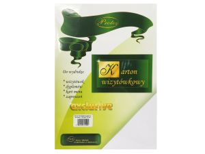 KARTON WIZYTÓWKOWY TKANINA WORKO 230G/M2 A-4/20ARK