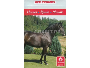 KARTY ANIMAL TRUMPS HORSES