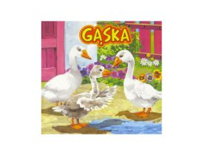 KSIĄŻECZKA GĄSKA 2416
