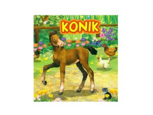 KSIĄŻECZKA KONIK 2140