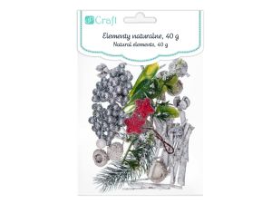 NATURALNE ELEMENTY MIX 40 G BIELONY DPZA-055