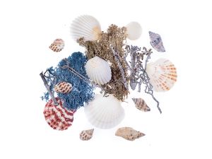 NATURALNE ELEMENTY MIX 75G MORSKI DALPRINT