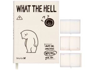 NOTES 128K "WHAT THE HELL?" INCOOD