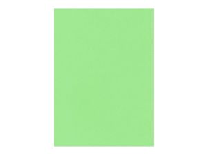 PAPIER KSERO KOLOR 80G/M A-4/100 ZIELONY JASNY  PR