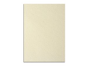 PAPIER OZDOBNY PAPIERNIA A4 SKÓRA 230G KREMOWY'20