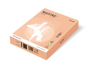 PAPIER PASTEL MAESTRO COLOR 160G 21X29.7 A4 SA24