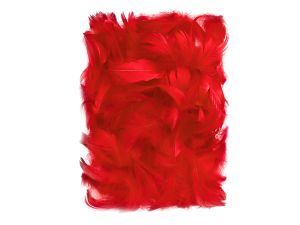PIÓRKA 5-12 CM 10G RED  CEPI-015