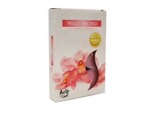 PODGRZEWACZE ZAPACHOWE 6 SZT. DZIKA ORCHIDEA