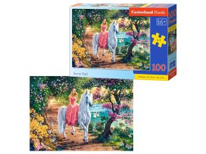 PUZZLE 100 B-111114 SECRET TRAIL CASTOR