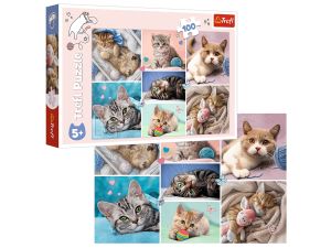 PUZZLE 100 ELEMENTÓW W KOCIM ŚWIECIE 16420 TREFL