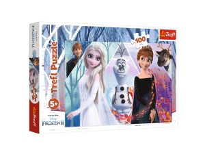 PUZZLE 100 ZACZAROWANA KRAINA 16418 TREFL