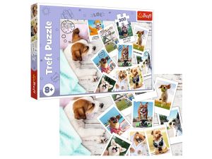PUZZLE 300 ZDJĘCIA Z WAKACJI 23003 TREFL