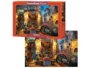 PUZZLE 3000 EL. C-300426-2 OUR SPECIAL PLACE IN V