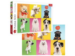 PUZZLE 500 PSY 37378 TREFL