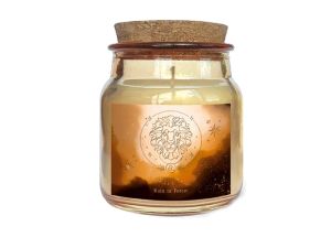 ŚWIECA ZNAK ZODIAKU 83G 13H LEW MFP