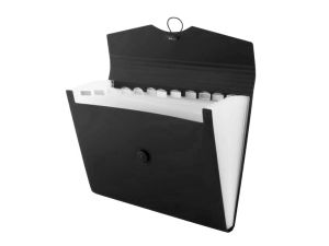 TECZKA A4 Z 12 PRZEGRODAMI CZARNA PATIO 5066/01