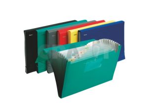 TECZKA A4 Z 12 PRZEGRODAMI ZIELONA PATIO 5057/05