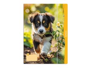 TECZKA RYSUNKOWA 4A Z GUMKĄ ANIMALS HERLITZ