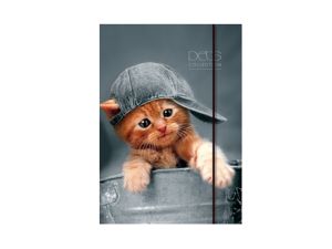 TECZKA SZKOLNA A4 PETS