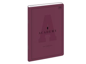 ZESZYT A5 60 KARTEK LINIA 90G ACADEMY INT